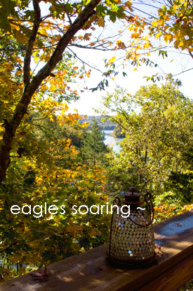 Lodging and Spa Days are available in a meditation cabin beside a quiet cove on Beaver Lake, within a short drive to historic downtown Eureka Springs